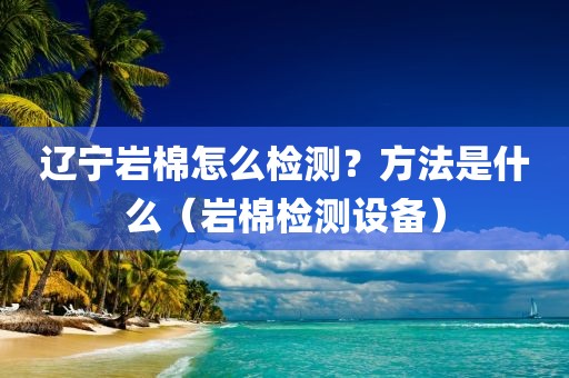 辽宁岩棉怎么检测？方法是什么（岩棉检测设备）